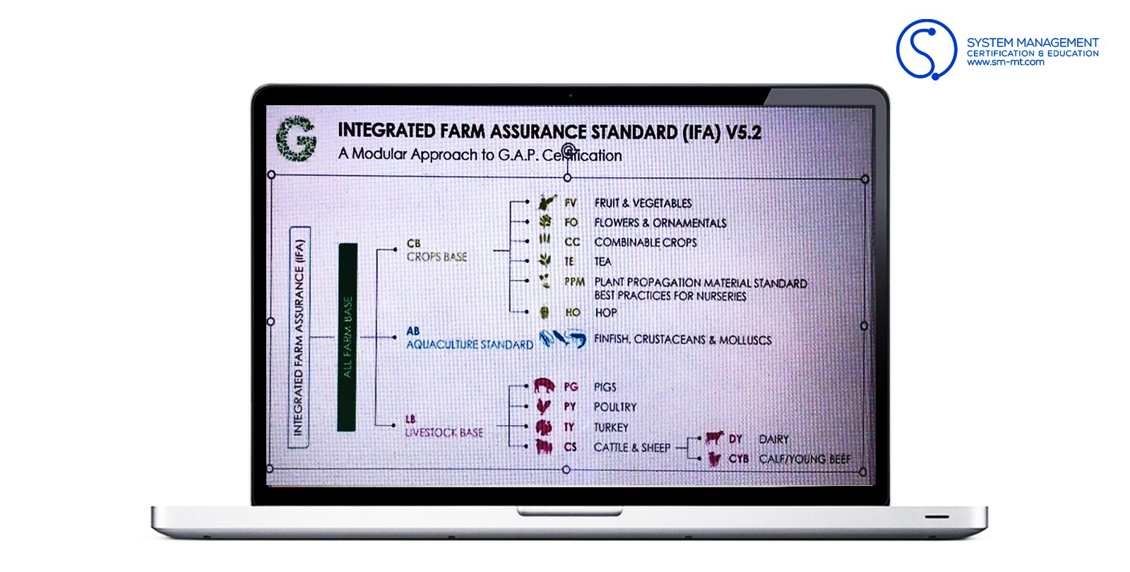изображение_viber_2020-04-06_21-30-55